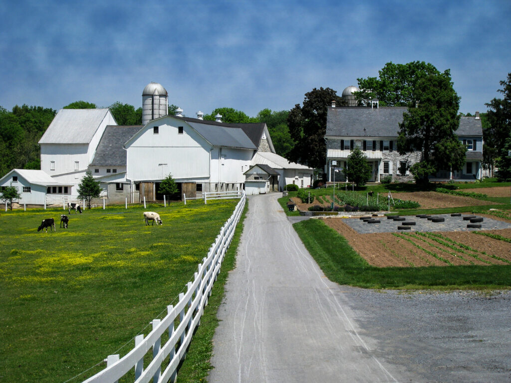 Countryside tours mennonite life